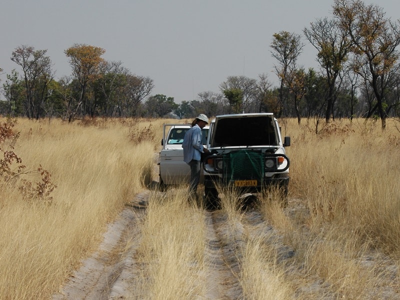 Pickup with open Bonnet in high Grass