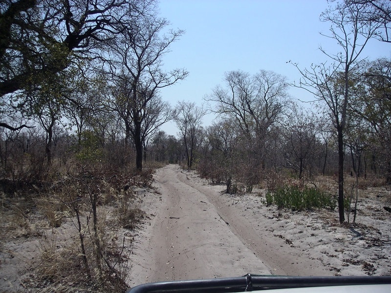 Track with Thick Sand